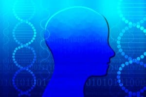 薄毛 遺伝 確率