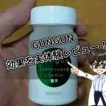 GUNGUN・口コミ・評判・体験レビュー