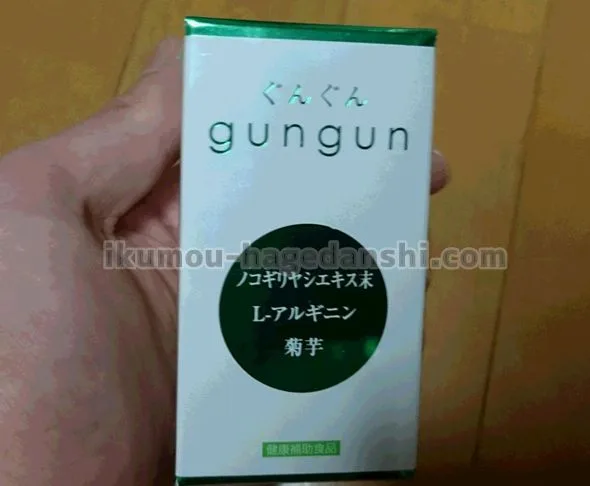 GUNGUNぐんぐん02