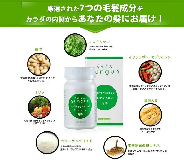 GUNGUN・成分