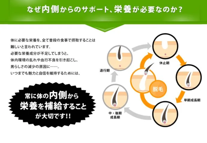 GUNGUN・特徴