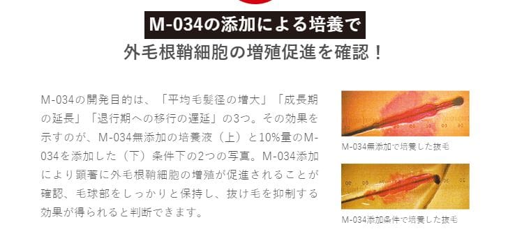 天真堂・M-034・説明