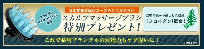 プランテルEX・スカルプマッサージブラシ